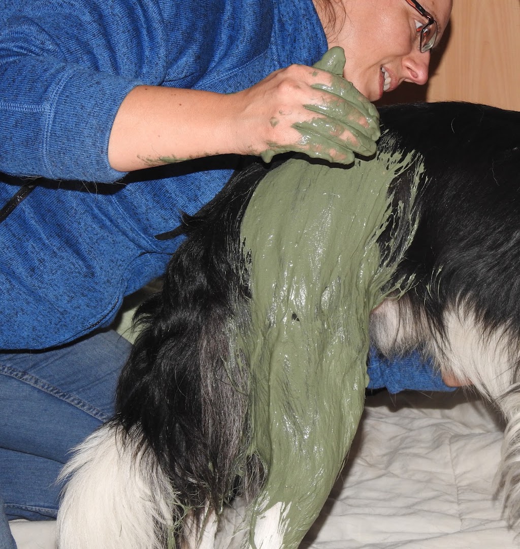 Carine Delbaere - Masseuse équin et canin - Massages bien-être humains · Photos 7