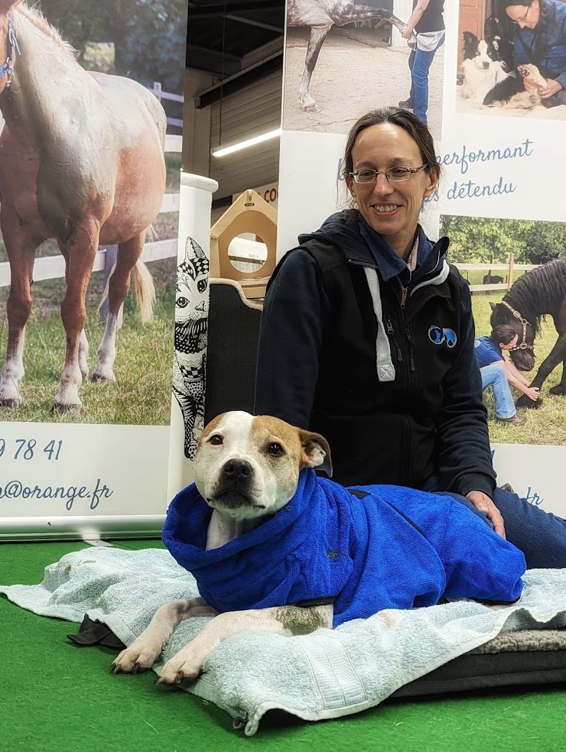 Carine Delbaere - Masseuse équin et canin - Massages bien-être humains · Photos 9